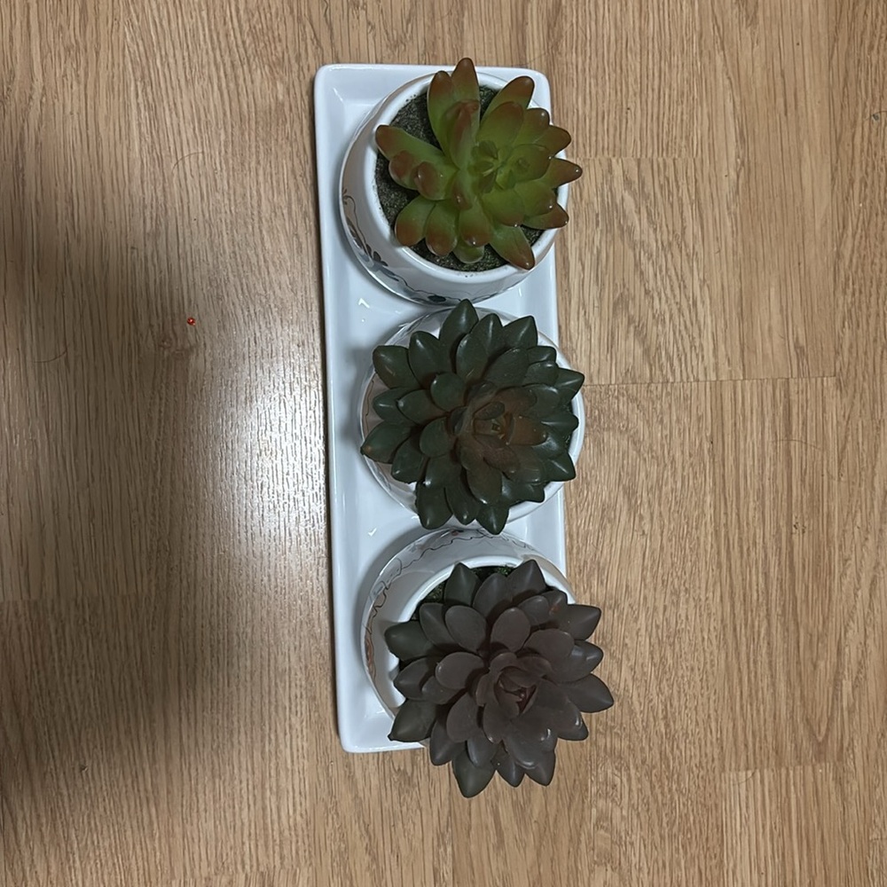 kirklands alpaca succulent plant set - Picture 3 of 7